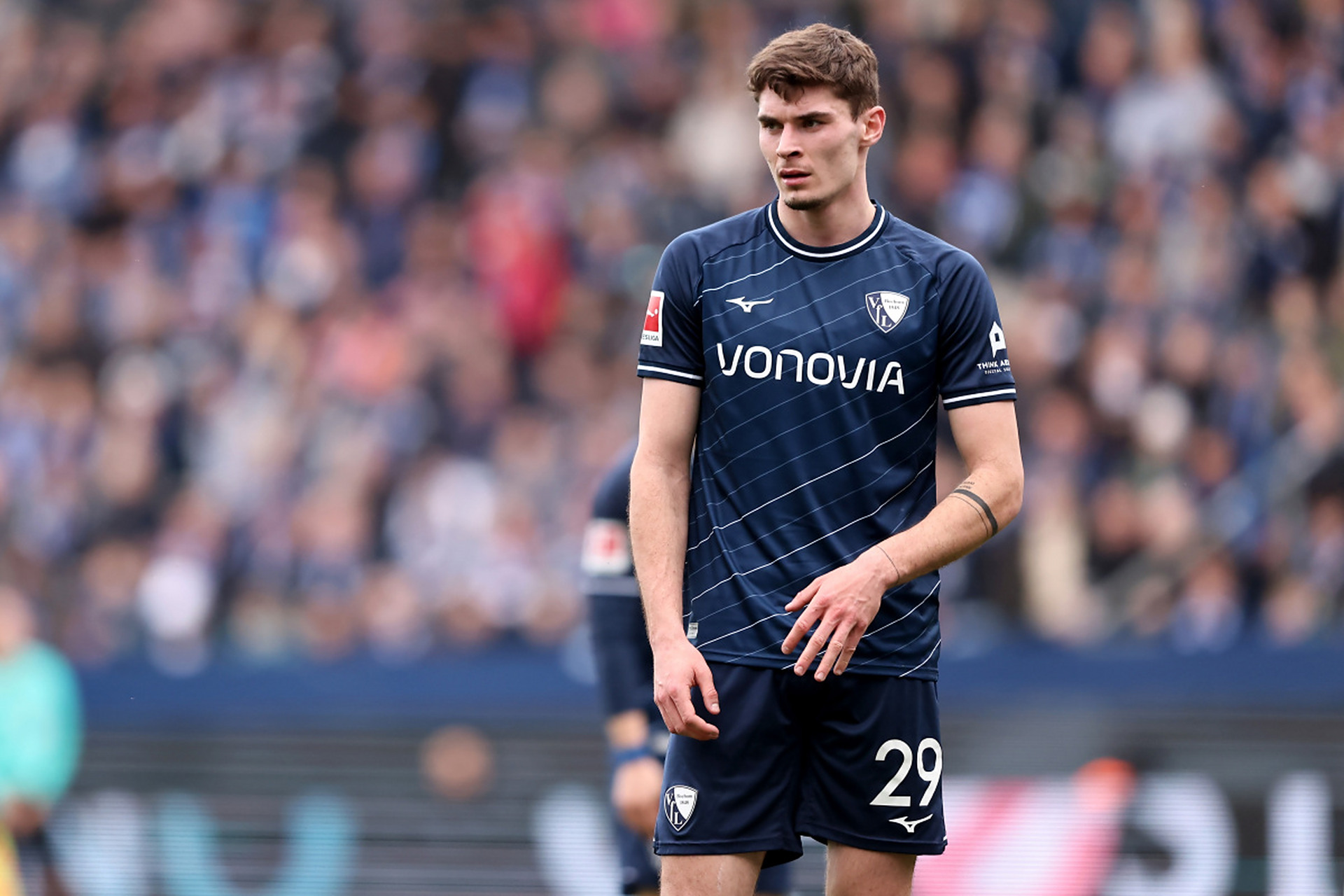 在大赛中养 在大赛中养